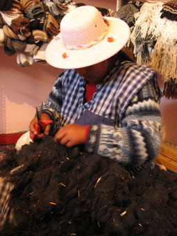 080626ilda_cortandolanaS.jpg