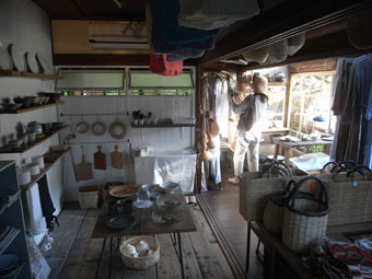 20090715coya2.jpg